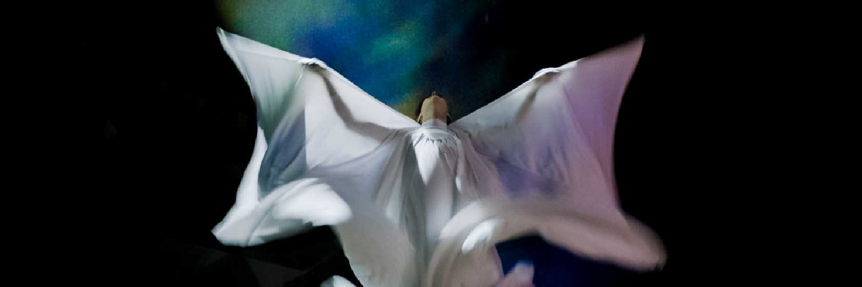 The Extraordinary Miss Flower